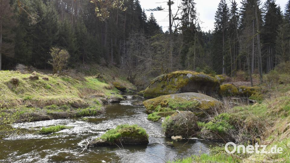 Die Waldnaab sucht sich in diesem Tal ihren Weg durch große Felsen, manchmal still fließend, manchmal wild rauschend als kleiner Wasserfall. Bild: ubb