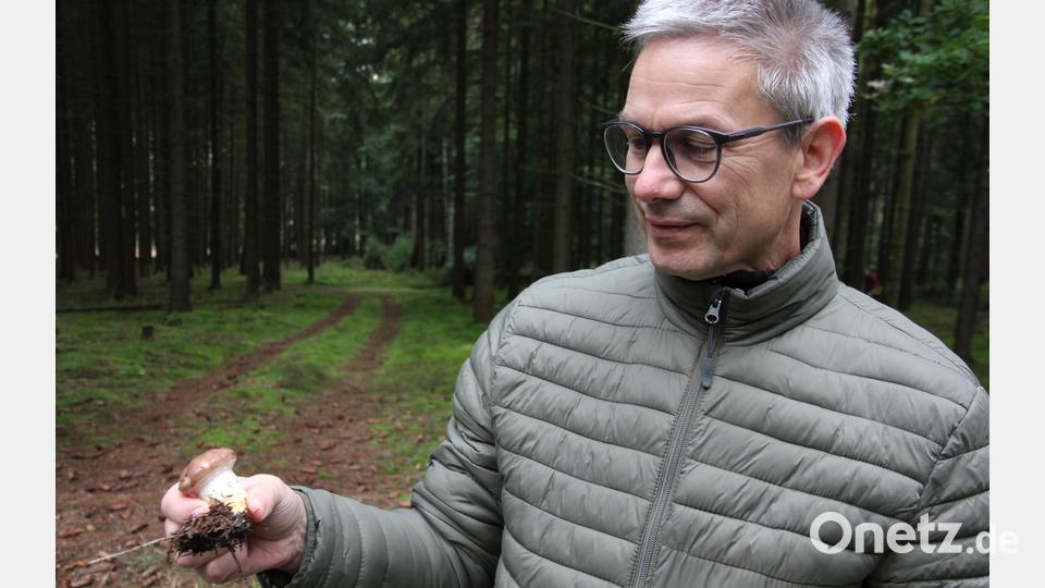 Pilzsachverständiger Stefan Hartwig mit einem Kuhmaul, auch oder Großer Gelbfuß genannt. Bild: kro