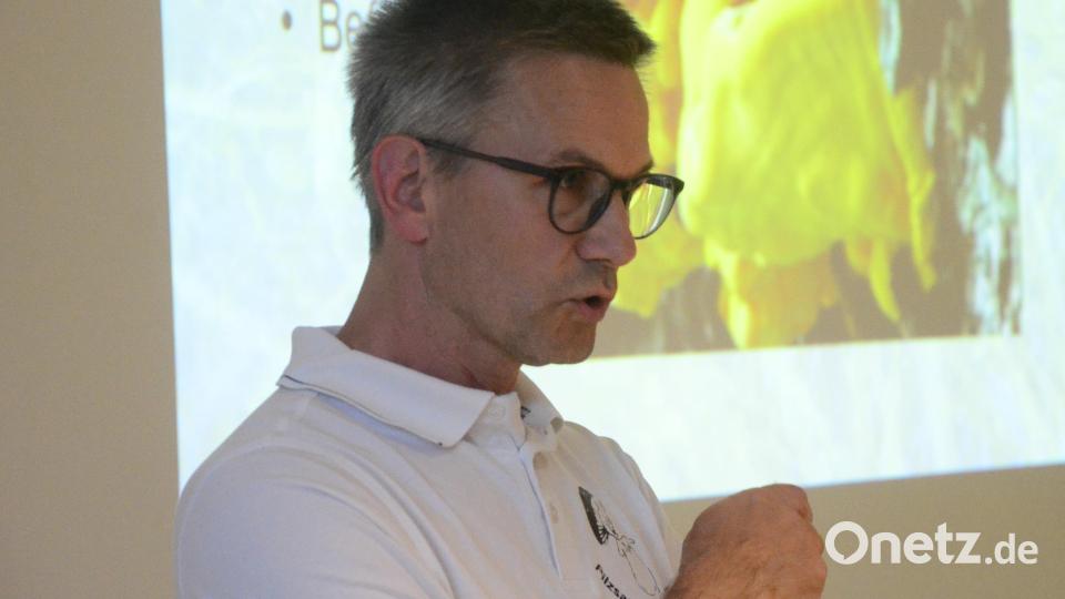 Solche Pilze gab es Weiden entlang des Flutkanals zur Genüge an Baumstümpfen. Die wurden jetzt aber alle beseitigt, bedauert Stefan Hartwig, Pilzexperte aus Vohenstrauß. Bild: Kunz