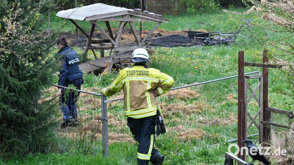 Bei einem Brand am Erzberg in Amberg ist eine Stallung abgebrannt. Bild: Petra Hartl