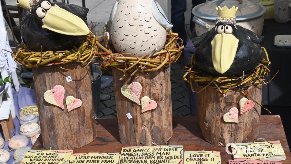 Wachsame Vögel und coole Sprüche. Bild: gf