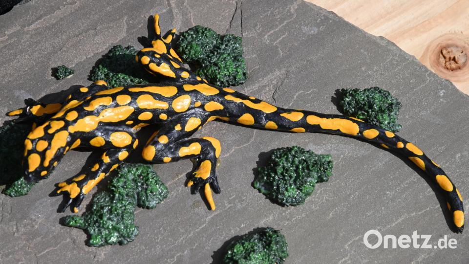 Täuschend echt, der Feuersalamander. Bild: gf