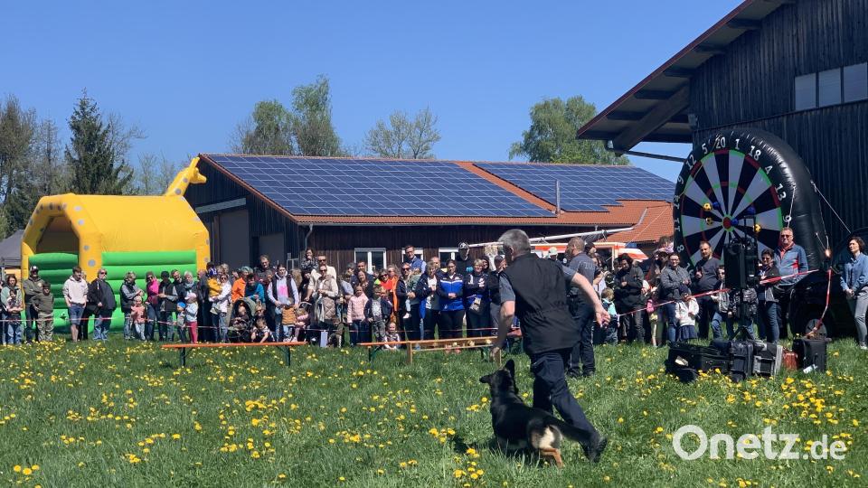 Hundevorführung auf der Wiese vor der O`Schnitthalle Bild: tok