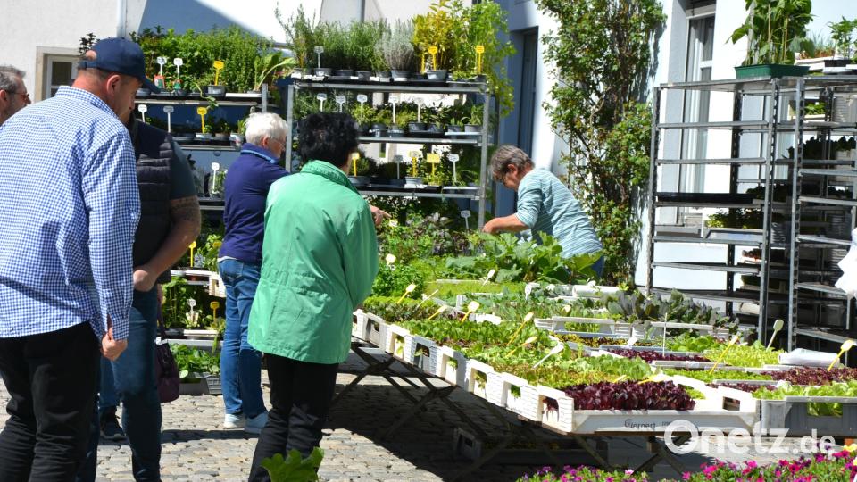 Besseren Besuch verdient gehabt hätte der Mitterteicher Ostermarkt am Sonntagnachmittag. Bei strahlendem Sonnenschein blieb das Interesse doch überschaubar. Gefragt waren Blumen, Kleidung, Spielsachen und Billigprodukte. Dazu blieb zumeist Zeit für einen kurzen Plausch. Bild: jr