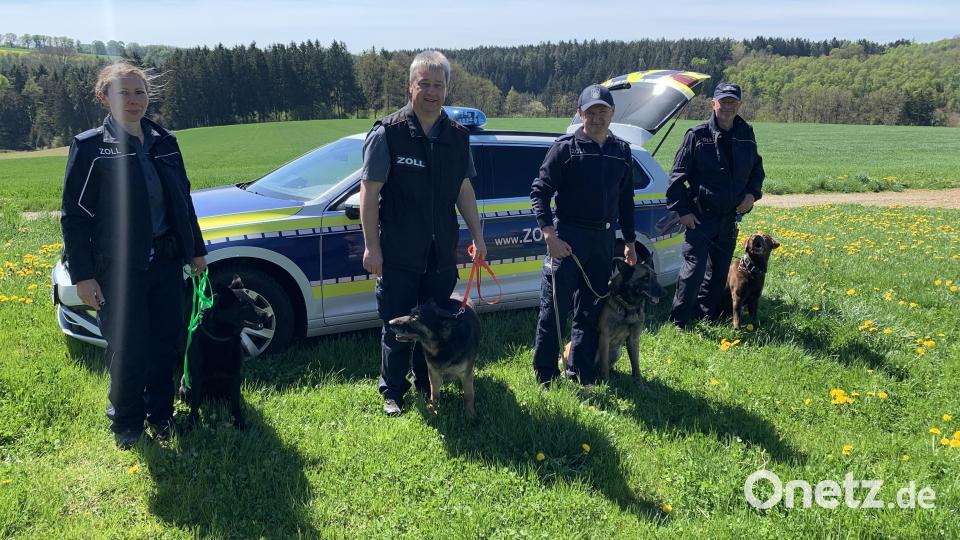 Zollhunde des Hauptzollamtes Regensburg Bild: tok