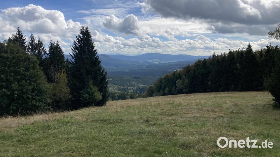 Ausblick vom Panorama-Kino in Richtung Böhmerwald. Bild: Stefanie Swann