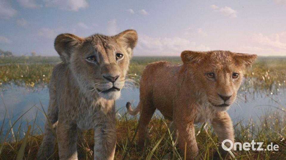 In „Mufasa: Der König der Löwen“ geht es um die Vorgeschichte des Disney-Originals von 1994. Bild: Disney/dpa