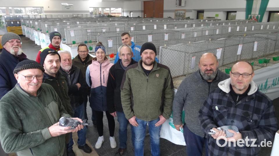 Das Aufbauteam vom Kleintierzuchtverein Pfrentsch-Waidhaus hat alles hergerichtet für die große Show-Racer-Ausstellung am kommenden Wochenende. Ausstellungsleiter Siegfried Rupp und Vorsitzender Alfred Sauer (von rechts) freuen sich mit ihrem Team auf viele Besucher. Bild: gz