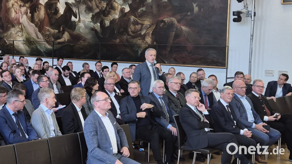 Landrat Roland Grillmeier bei seiner Wortmeldung bei der Sitzung der Bayerischen Krankenhausgesellschaft. Bild: Fabian Polster/Landratsamt Tirschenreuth/exb