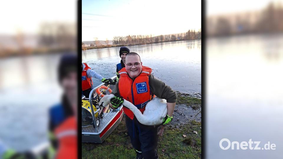 Bei einem Einsatz am zweiten Weihnachtsfeiertag rettet die Feuerwehr Oberwildenau einen hilflosen Schwan. Er war am Eis eines Weihers festgefroren. Bild: Feuerwehr Oberwildenau