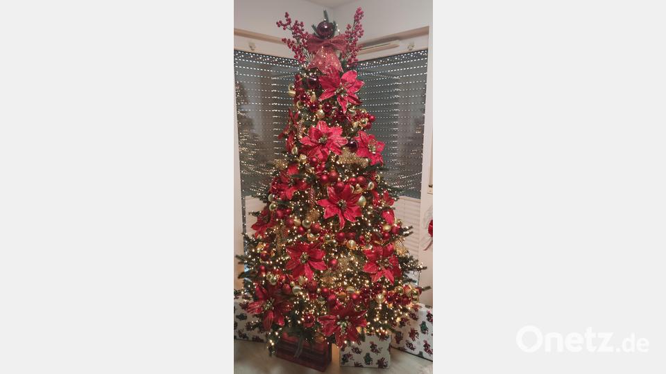 Einen Christbaum in schönster Blüte präsentiert Thomas Bendl-Meinhardt aus Altenstadt/WN – ein echter Fan der Weihnachtszeit, der auch Bräuche pflegt: „An Heiligabend wird die Weihnachtsgurke im Baum versteckt, und derjenige der sie findet darf das nächste Geschenk öffnen.“ Bild: Thomas Bendl-Meinhardt