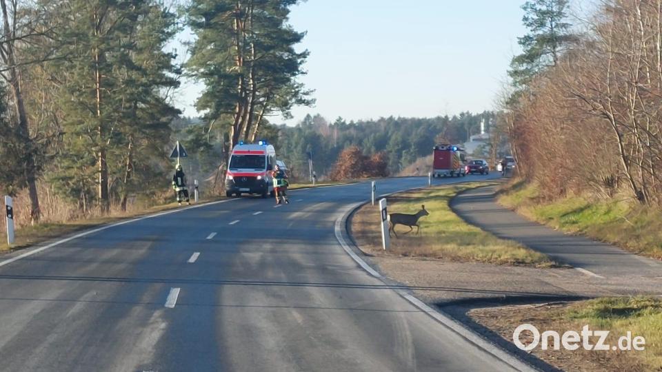 Ein Reh war am zweiten Weihnachtsfeiertag in den Mantler Badeweiher eingebrochen. Das Tier befreite sich selbst aus dem Weiher. Um ihm die Flucht zu ermöglichen, wurde zeitweise die Straße gesperrt. Bild: Feuerwehr Mantel
