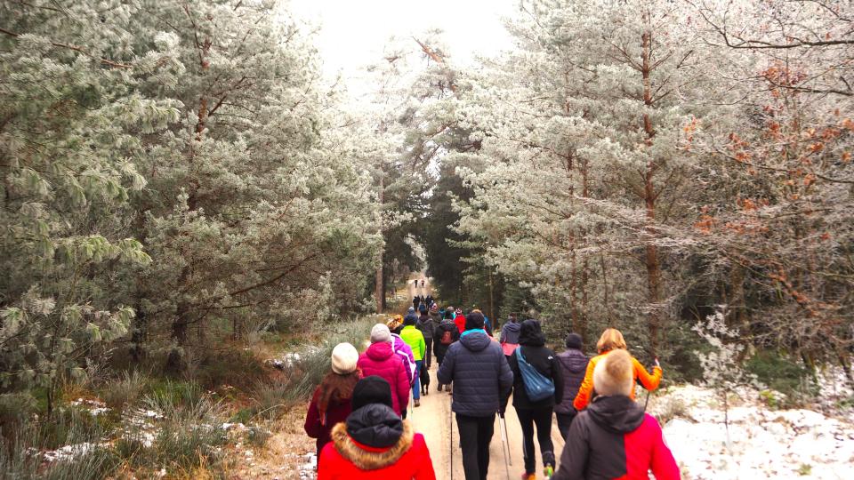 Die rund 410 Teilnehmer genossen die wunderbare Winterlandschaft. Bild: wmi