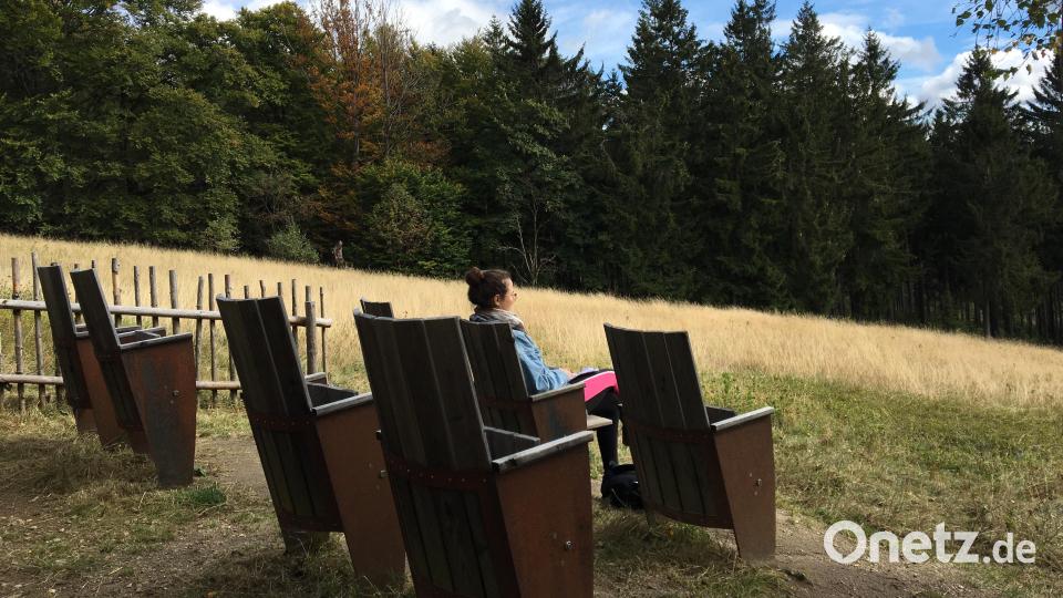 Sieben hölzerne Klappstühle, die an Kinosessel erinnern, laden Wanderer ein, den Ausblick über die Waldlandschaft des Böhmerwalds zu genießen. Bild: Maximilian Hohlheimer