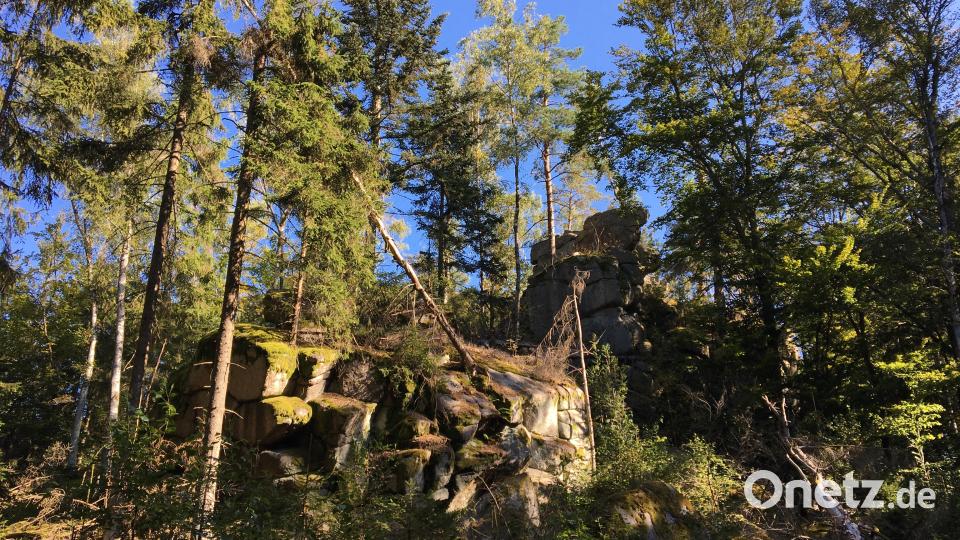 Entlang der Route befinden sich zahlreiche Felsen im Wald. Bild: Hohlheimer
