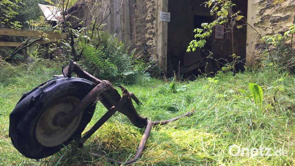 Wanderrunde von Stadlern, Landkreis Schwandorf im September Bild: Hohlheimer