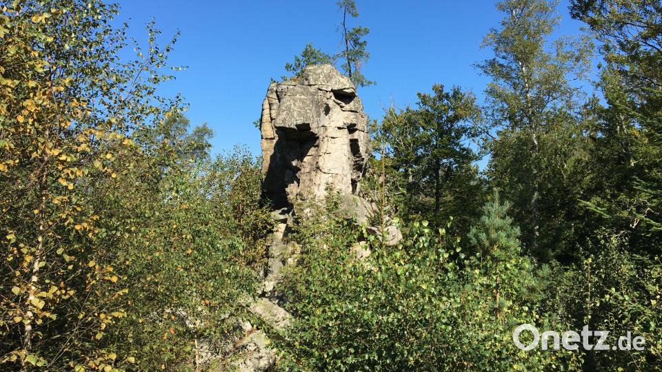 Am Anfang der der Route ragt die Steinwald-Sphinx zwischen den Bäumen empor. Bild: Hohlheimer