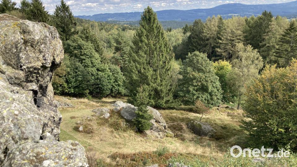 Die Landschaft um den Hochfels ist als Naturdenkmal geschützt. Bild: Stefanie Swann