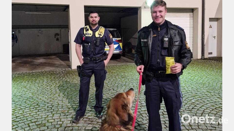 Polizeiobermeister Arthur Balko und Polizeiobermeister Maximilian Steinmetz (von links) kümmerten sich um den entlaufenen Hund. Bild: Polizei Sulzbach-Rosenberg