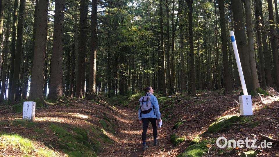 Der Rundwanderweg von Stadlern führt durch den Wald entlang der tschechischen Grenze: Auf der rechten Seite befindet sich Deutschland, auf der linken Seite befindet sich Tschechien. Bild: Hohlheimer