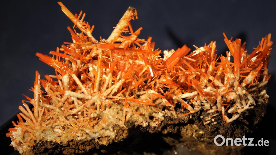 Ein Krokoit aus Tasmanien. Bild: Wagner/exb