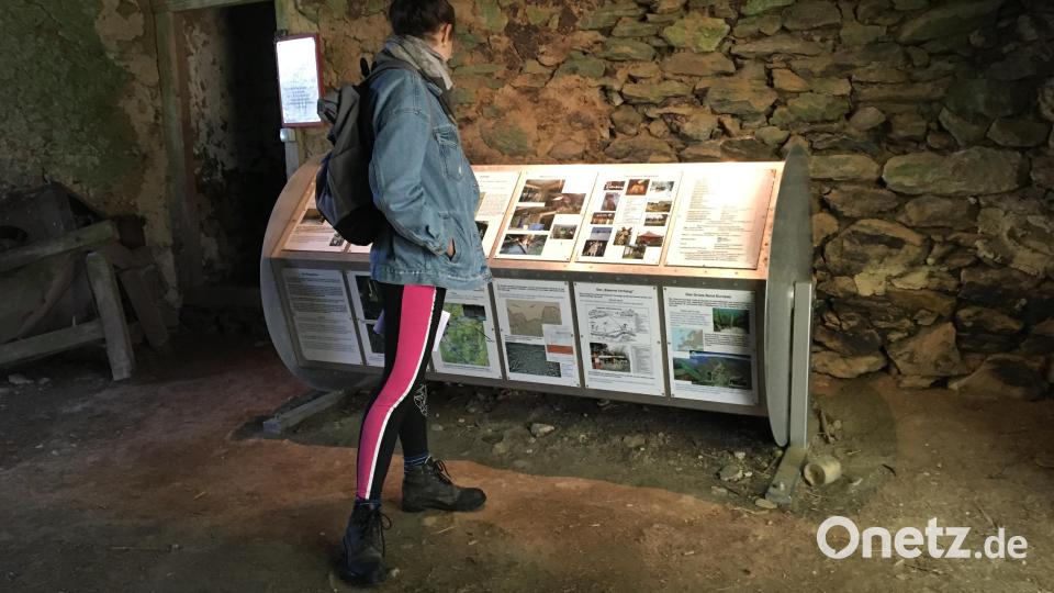 Besucher können auf den Informationstafeln viel über die verlassene Siedlung Bügellohe erfahren. Bild: Maximilian Hohlheimer