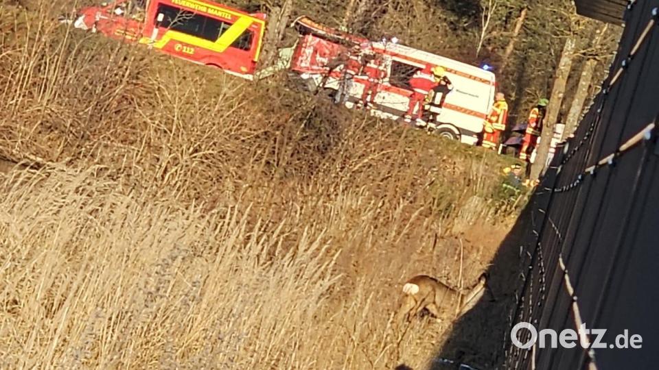 Rettungskräfte wurden alarmiert, weil ein Reh in das Eis am Manteler Badeweiher eingebrochen war. Das Tier befreite sich selbst und blieb weitgehend unverletzt. Bild: Feuerwehr Mantel
