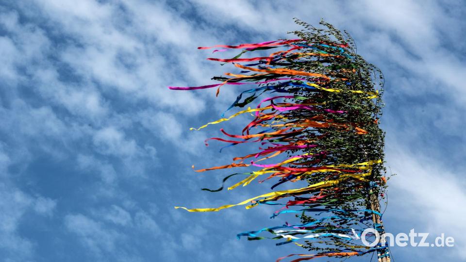 Am Niederrhein ist ein Maibaum umgekippt - es gibt mehrere Verletzte. (Illustration) Bild: Federico Gambarini/dpa