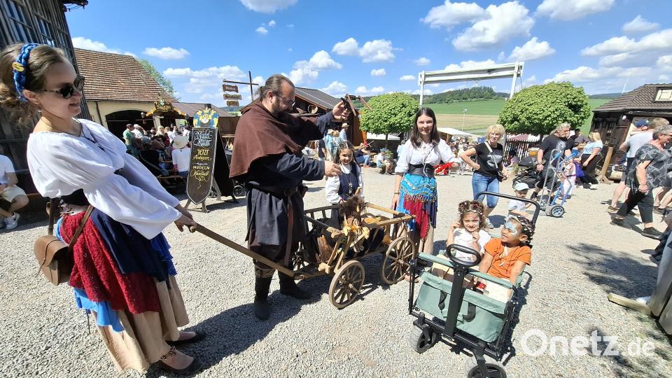 Der Nachwuchs mag`s gemütlich. Bild: jua