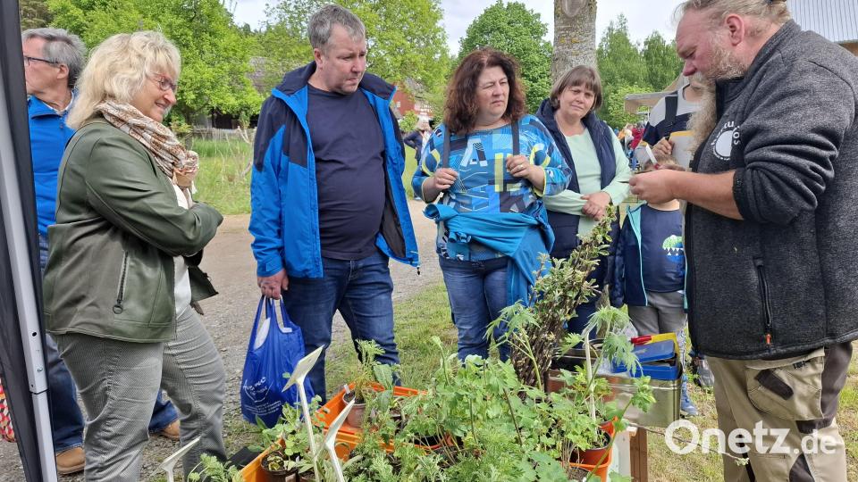 Wie funktioniert das Veredeln von Gehölzen? Die Besucher des Frühjahrsmarkts bekommen es zu sehen. Bild: jua