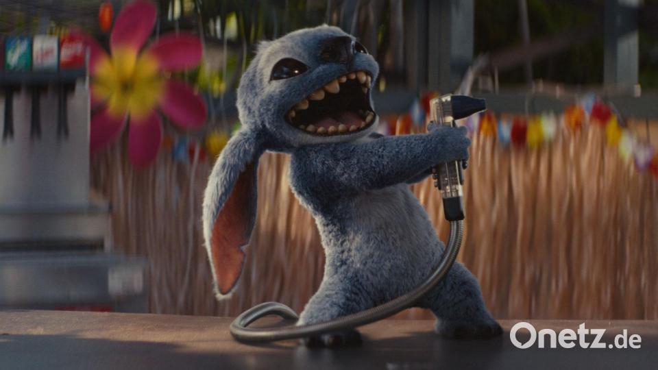 Findest du, dass Stitch wie ein Hund aussieht? Bild: Disney 2025