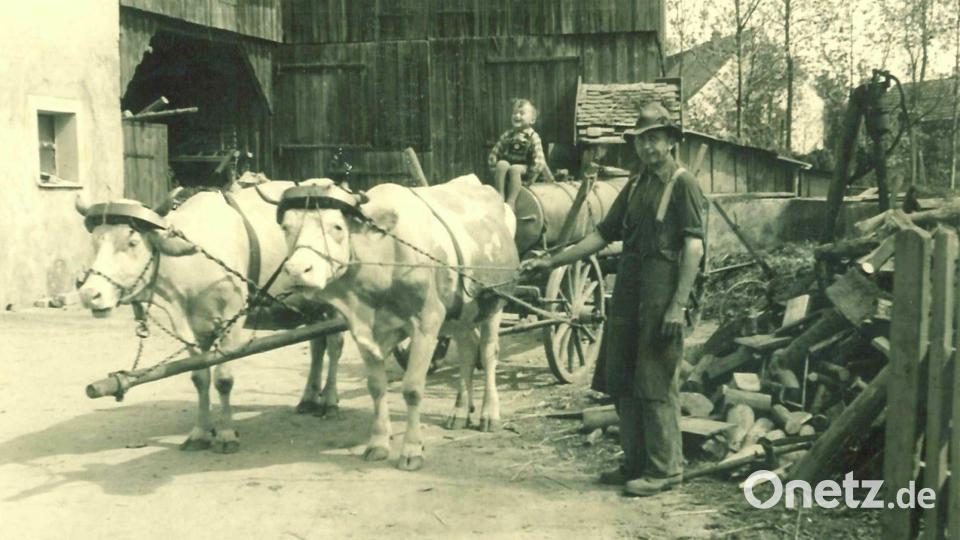 Odelfahren sahen damals deutlich anders aus als heute, wie auf der Aufnahme vom &quot;Moismauerer&quot; um das Jahr 1953 zu sehen ist. Bild: Gemeindearchiv Kastl