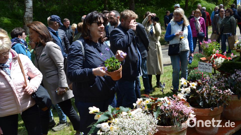 Es gab eine große Auswahl an Blumen. Bild: gi
