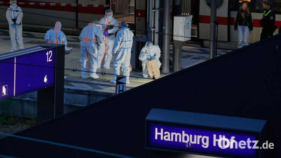 Mehrere Gleise wurden nach dem Messerangriff für den Zugverkehr gesperrt. Bild: Georg Wendt/dpa