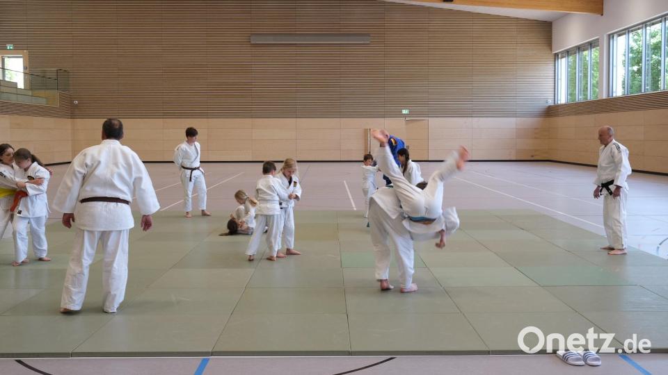 Die Abteilung Judo des TSV Detag Wernberg zeigte ihr Können. Bild: bnr