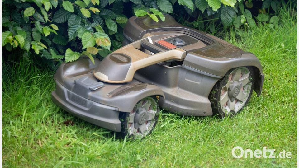 Mähroboter sind vielen Gartenliebhabern lieb als Helfer. Doch sie sind gefährlich für Wildtiere. Bild: Monika Skolimowska/dpa