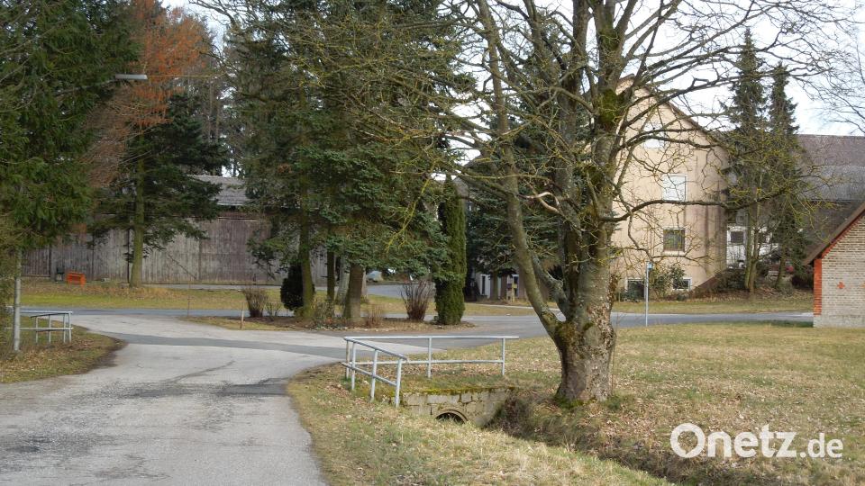 Mit drei Fichten sah die Verkehrsinsel bis vor kurzem so aus. Bild: mma