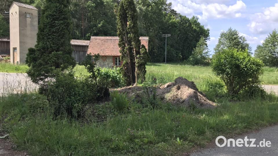 Die Verkehrsinsel ist derzeit (noch) kein Schmuckstück für den Ort. Bild: mma