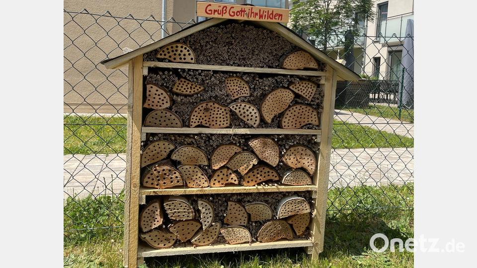 Das Bienenhotel in der ambulant betreuten Wohngemeinschaft. Bild: Elisabeth Herdegen