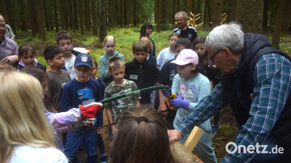 Eine Säge wie hier hatten die Kinder wohl noch nie in der Hand. Ein Pfund Baum musste vom Stamm gesägt werden. Bild: Ernst Frischholz [fz] (FZ.LEU@T-ONLINE.DE)