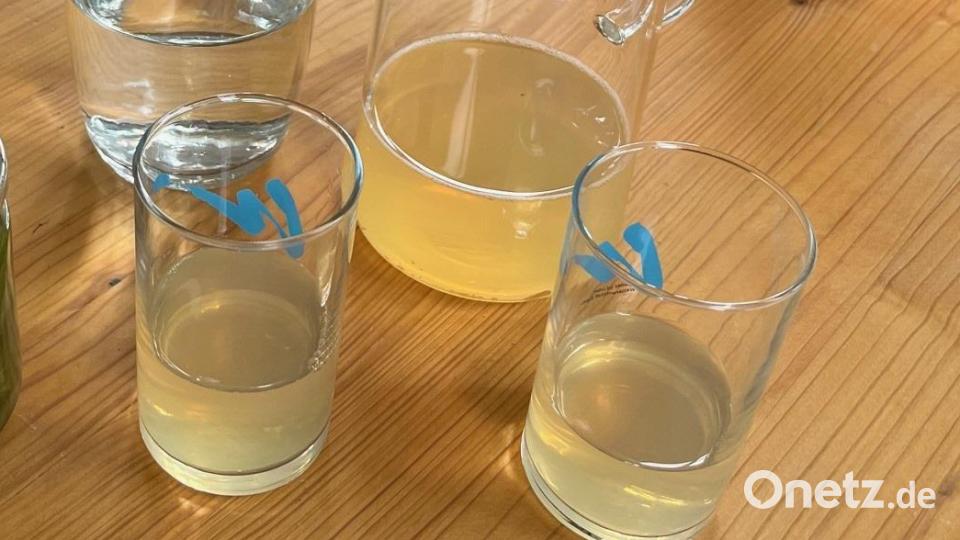 Limonade aus heimischen Kräutern schmeck je nach Zutaten immer etwas anders, aber immer erfrischend. Bild: ihl