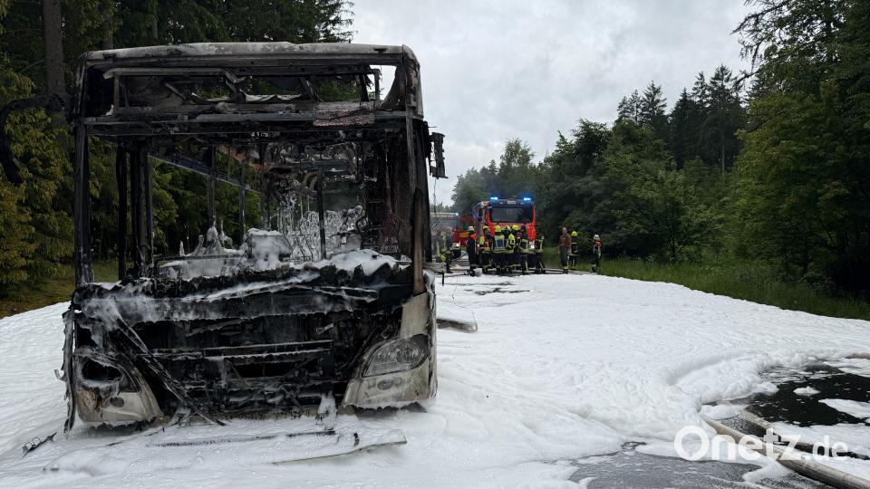 Der Bus ist nach dem Brand ein Totalschaden. Bild: Roland Wellenhöfer