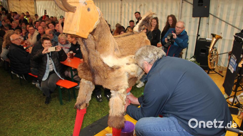 Ein Fachmann: Bernhard Sertl aus Hohenthan beim Melken. Bild: kro