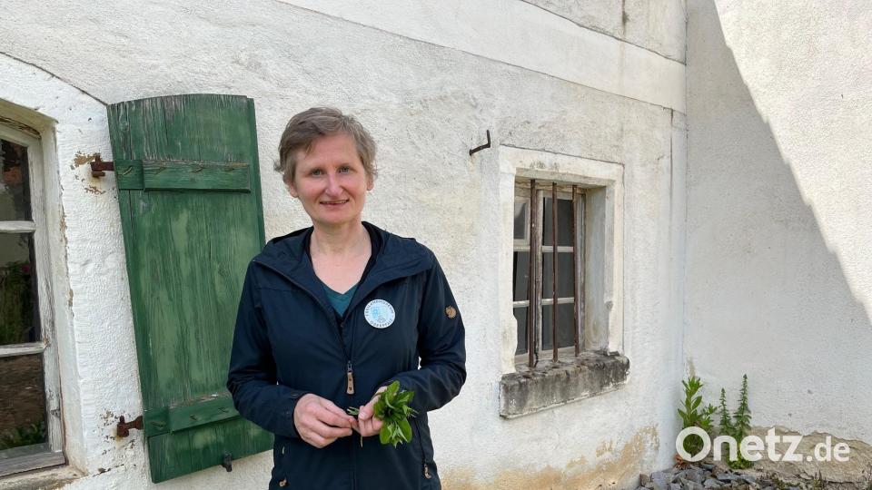 Bettina Kraus Bild: ihl