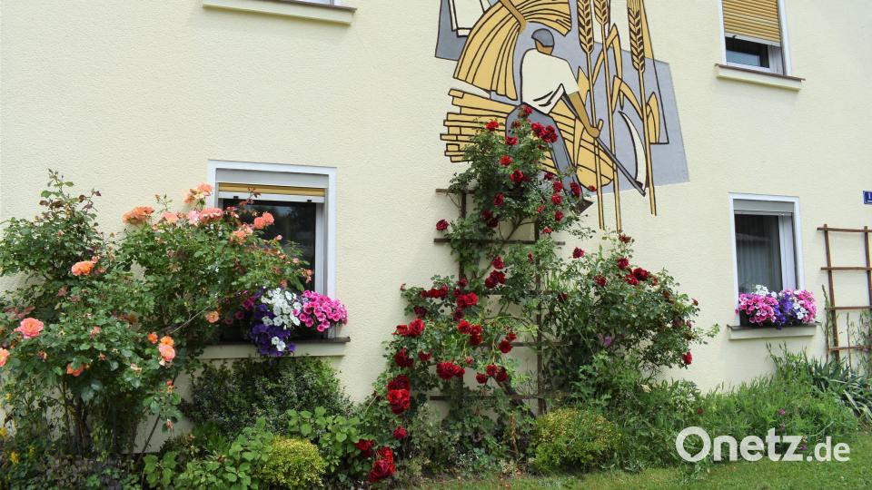 Diese Blumenoase ist in Gößenreuth zu finden. Bild: rgr