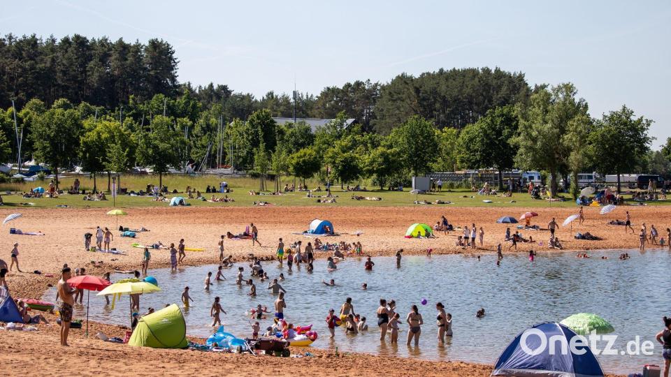 Der 2-Meter-Fisch war im Brombachsee unterwegs, ein Polizist erschoss ihn. (Archivfoto) Bild: Daniel Karmann/dpa