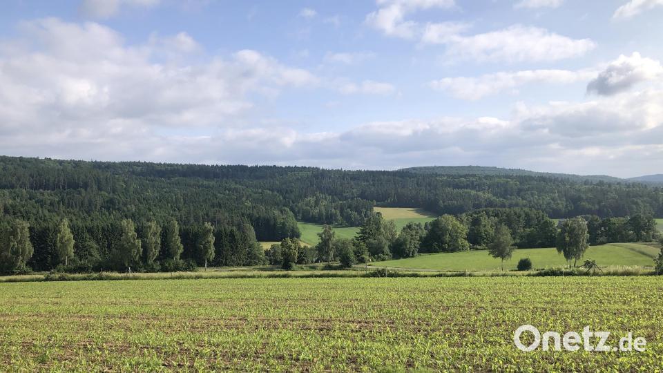 Auf den Höhen des Teichelberges im Flächendreieck Fuchsmühl/Pechbrunn/Wiesau sollen Windräder gebaut werden. Dagegen stemmt sich eine im März gebildete Bürgerinitiative. Bild: wro