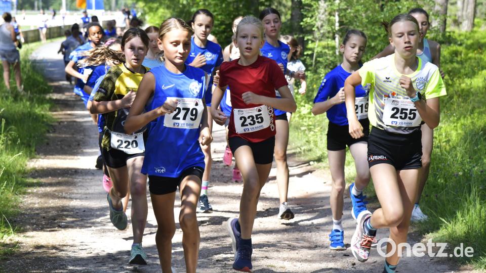 Die Schüler auf der Strecke über die 2000 Meter beim Hahnenkammlauf in Edelsfeld . Bild: Hubert Ziegler