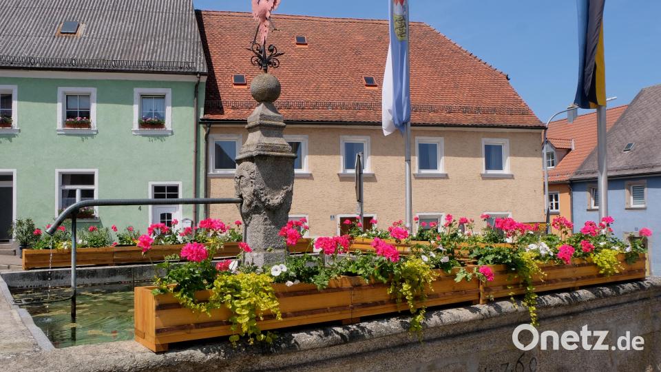 Der Marktbrunnen (Röhrkasten) mit Fratzengesicht und Marktadler, dem Wahrzeichen von Floß, gibt gerade jetzt im Frühjahr ein schönes Fotomotiv ab. Bild: Fred Lehner