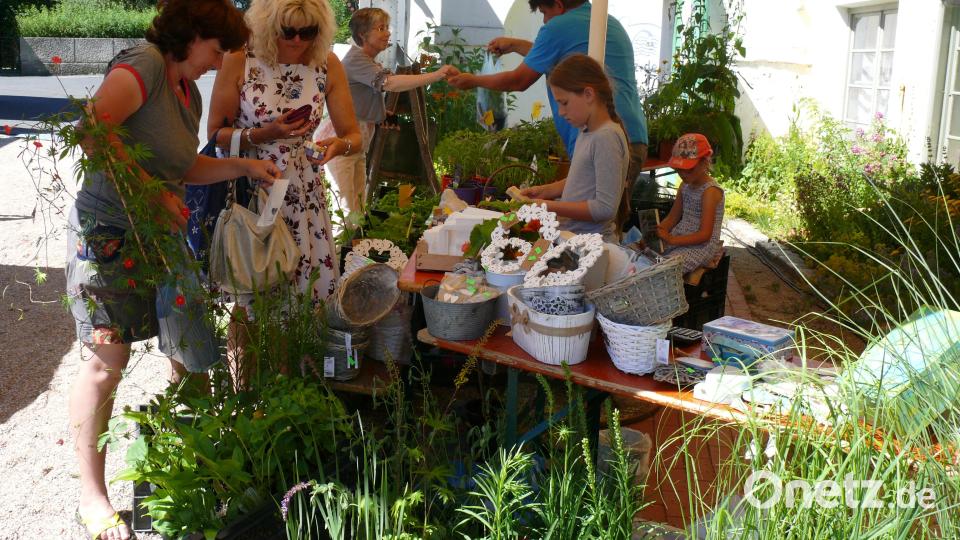 Kräuterfestival und Tag der offenen Gartentür im Naturerlebnisgarten in Waldsassen. Archivbild: kgg
